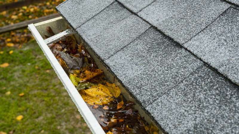 5 Costly Dangers of Clogged Gutters
