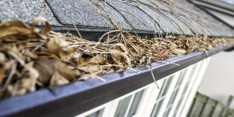 Caring For Your Gutters During The Summer To Prepare For Fall