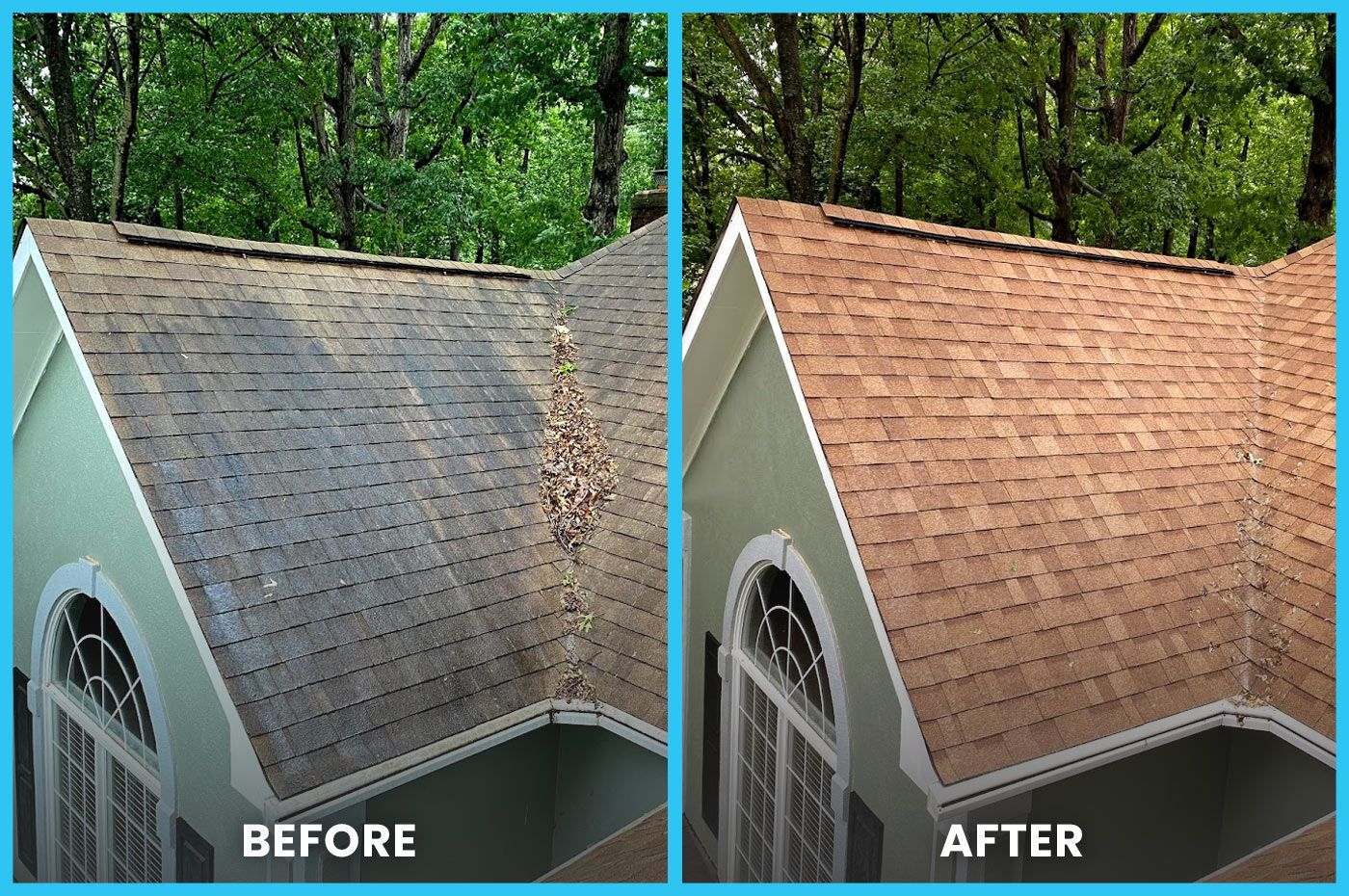 Roof Cleaning Services